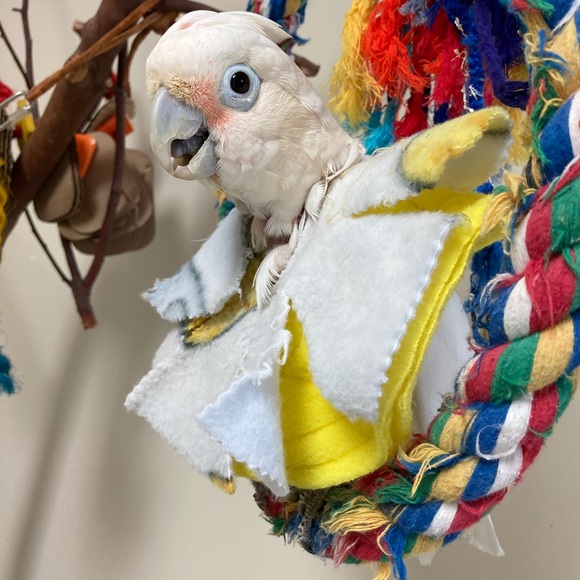 Meet your Posher, Christina - Picture 4 of 5